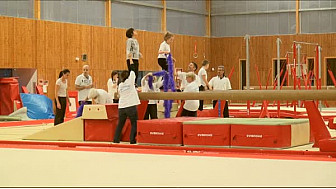 L'HandiGym  de l'Etoile Gymnique de Colomiers  participait à la soirée FESTI CLUBS LOISIRS du 19 novembre à #Colomiers