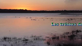 Le Parc Eolien de tous les DANGERS : LES TRESORS DE LA BAIE DE SAINT-BRIEUC EN PERIL