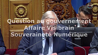 Affaire Visibrain - Question au gouvernement par la Sénatrice Vanina Paoli-Gagin